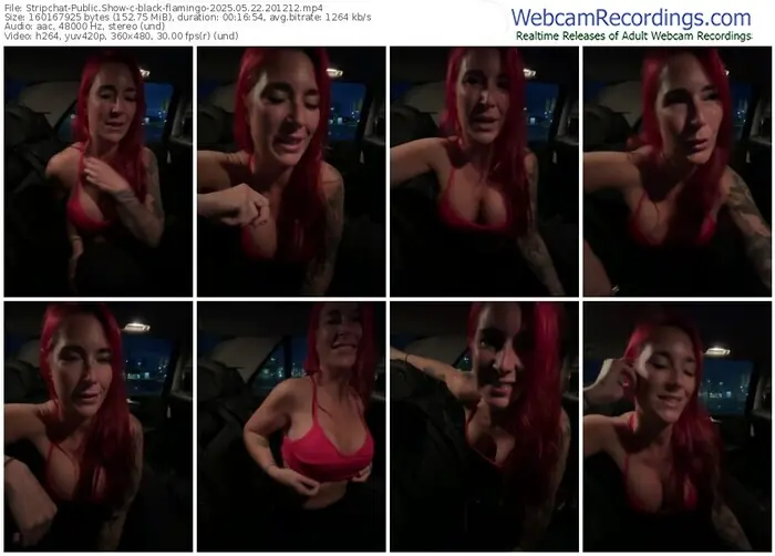 stripchat-black-flamingo-05-22-2025-20-12-12