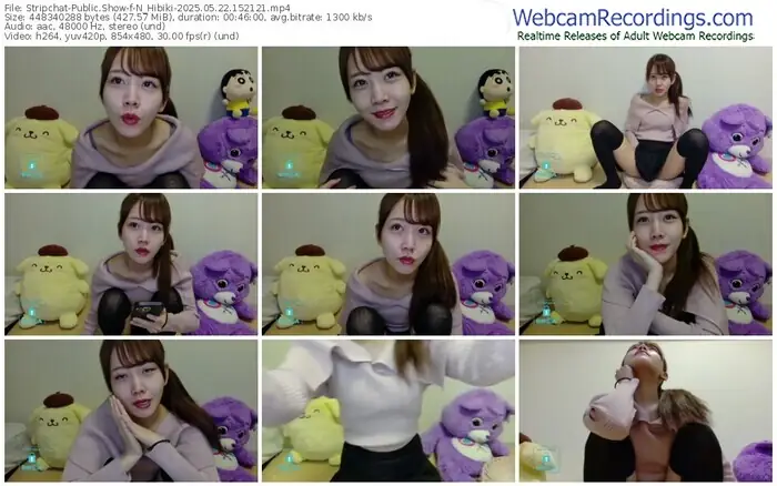 stripchat-n_hibiki-05-22-2025-15-21-21