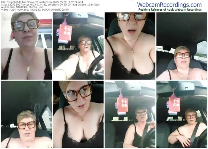 stripchat-pumabionda-05-22-2025-11-02-13