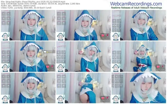 stripchat-ruirui_ovo-05-22-2025-03-40-26