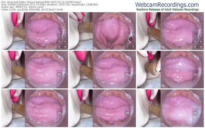 stripchat-danigirl866-05-22-2025-16-58-03