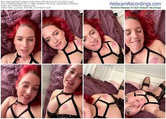 stripchat-pinky_rose_official-05-23-2025-12-30-41
