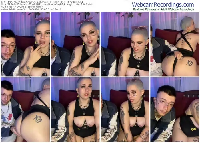 stripchat-seebohm1111-05-23-2025-17-23-43