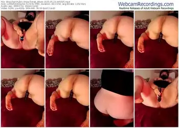 stripchat-arab_bbw6-05-23-2025-00-55-05