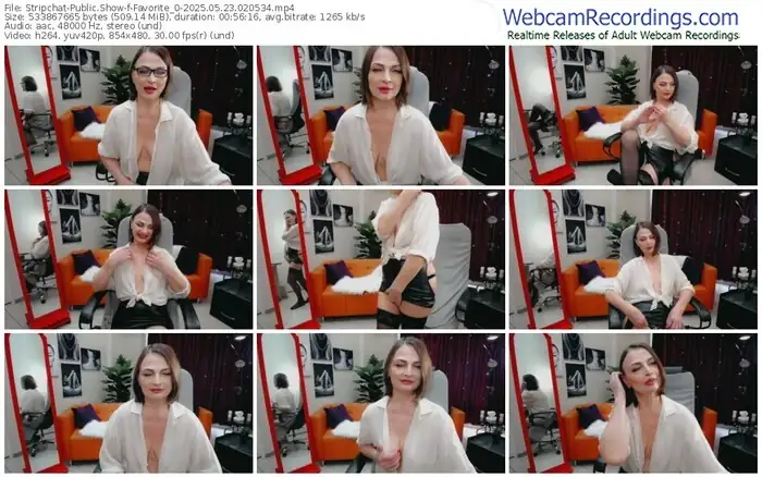 stripchat-favorite_0-05-23-2025-02-05-34