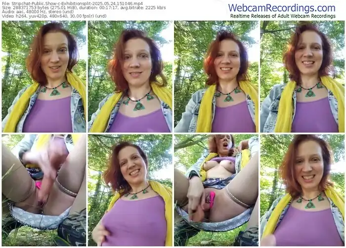 stripchat-exhibitionsplit-05-24-2025-15-10-46