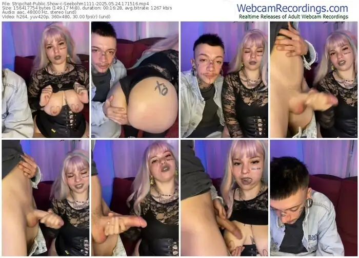 stripchat-seebohm1111-05-24-2025-17-15-16