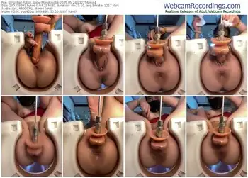 stripchat-tingting66-05-24-2025-13-27-56