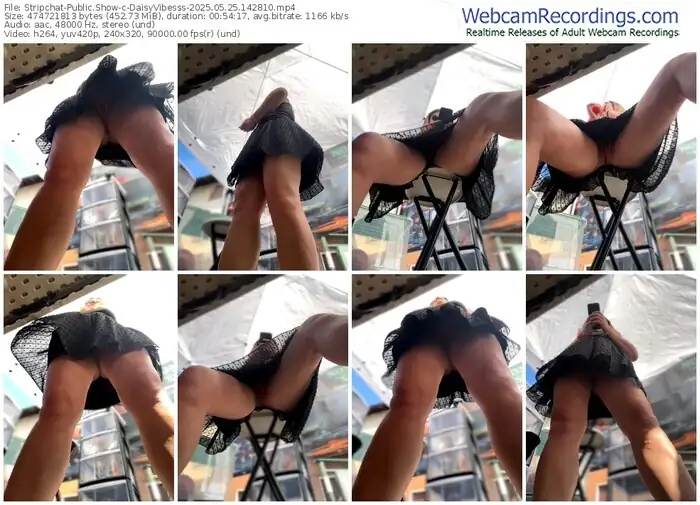 stripchat-daisyvibesss-05-25-2025-14-28-10