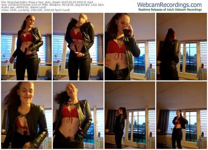 stripchat-your_dirty_dream-05-25-2025-03-01-31