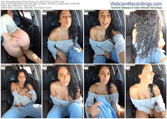 stripchat-exotic-art-05-25-2025-11-39-21