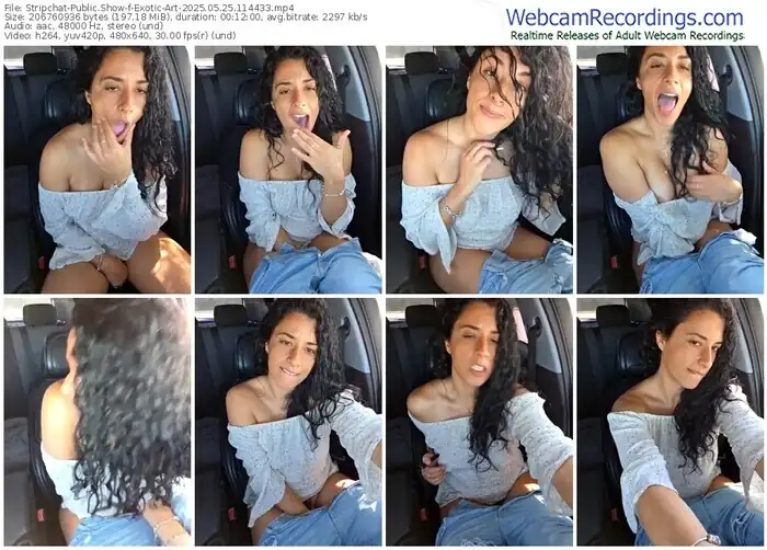 stripchat-exotic-art-05-25-2025-11-44-33