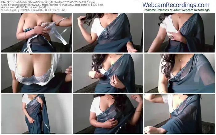 stripchat-gleaming-butterfly-05-25-2025-04-25-25