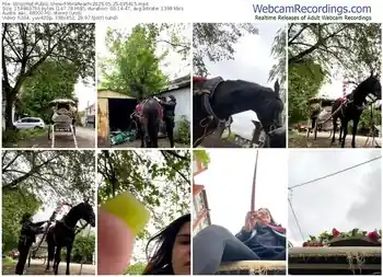 stripchat-mirareach-05-25-2025-03-54-15