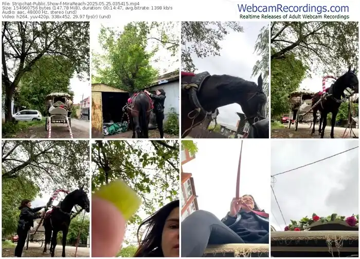 stripchat-mirareach-05-25-2025-03-54-15