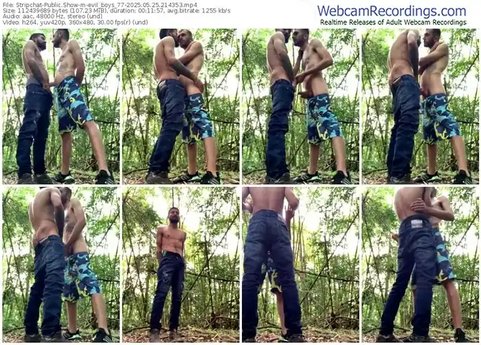 stripchat-evil_boys_77-05-25-2025-21-43-53