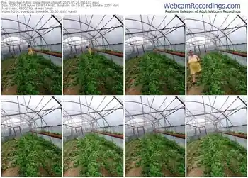 stripchat-emmasquirt-05-26-2025-09-11-07