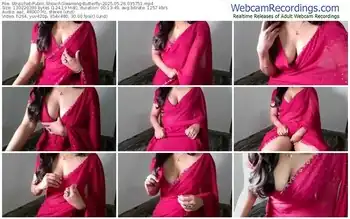 stripchat-gleaming-butterfly-05-26-2025-03-57-51