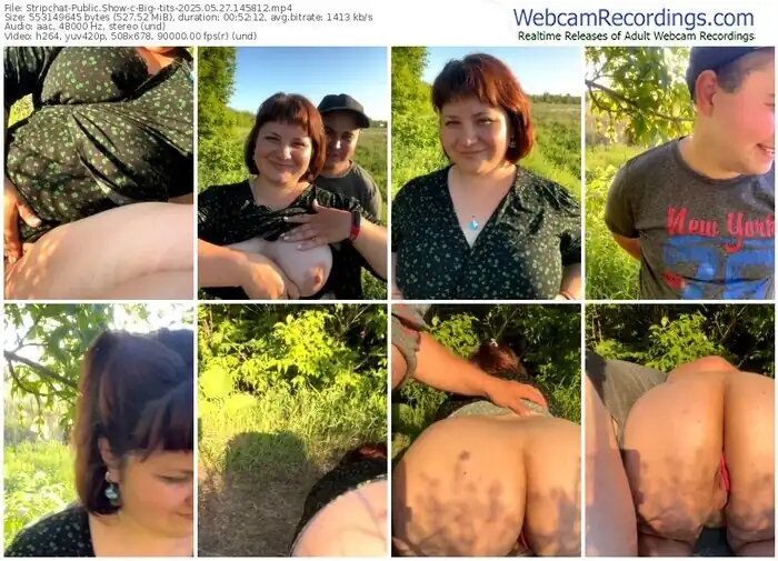 stripchat-big--tits-05-27-2025-14-58-12