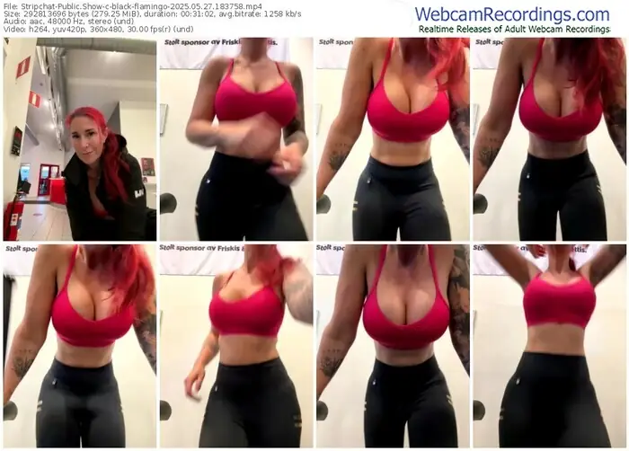 stripchat-black-flamingo-05-27-2025-18-37-58