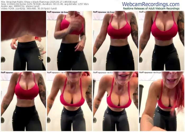 stripchat-black-flamingo-05-27-2025-18-50-08