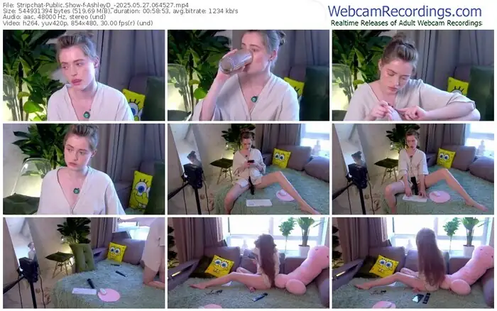 stripchat-ashleyd_-05-27-2025-06-45-27