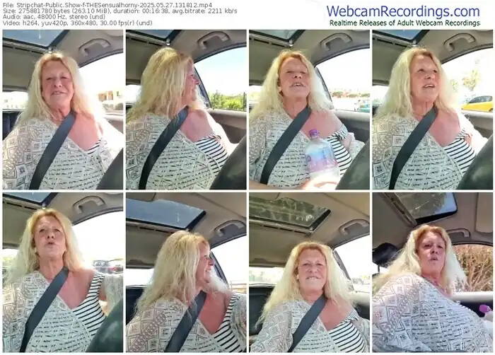 stripchat-thesensualhorny-05-27-2025-13-18-12