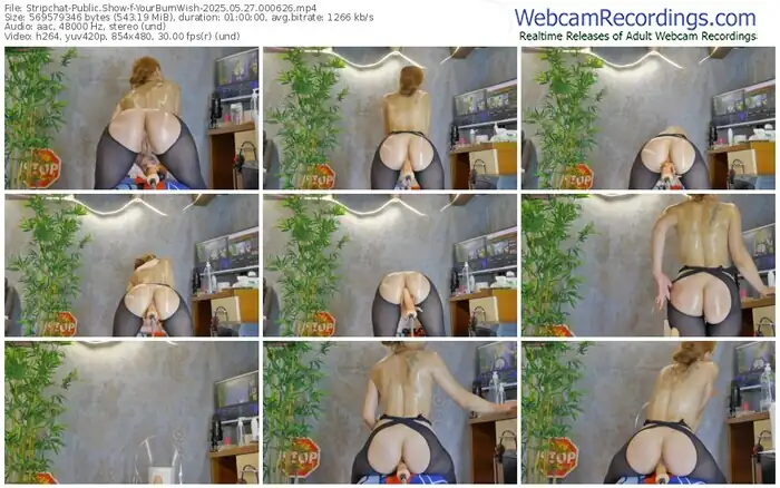 stripchat-yourburnwish-05-27-2025-00-06-26