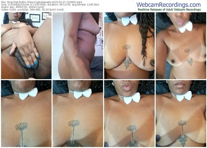 stripchat-gatadanada-05-27-2025-23-36-50