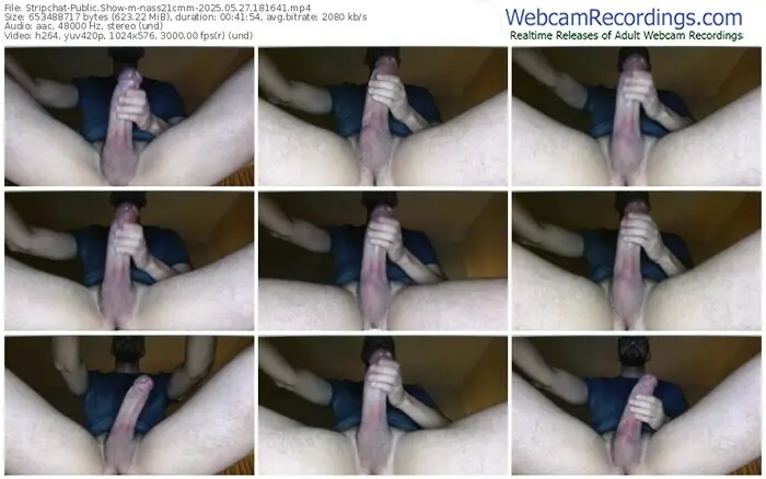 stripchat-nass21cmm-05-27-2025-18-16-41