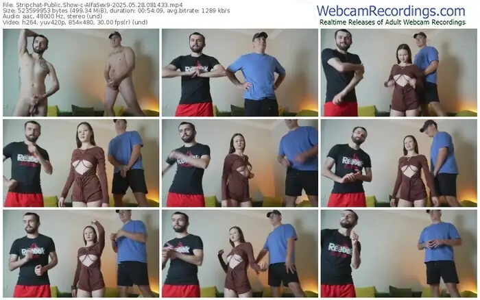 stripchat-alfasex9-05-28-2025-08-14-33