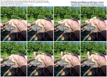 stripchat-armyexhibitionistvet-05-28-2025-00-13-12