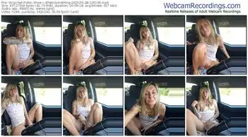 stripchat-sheissomething-05-28-2025-22-01-00