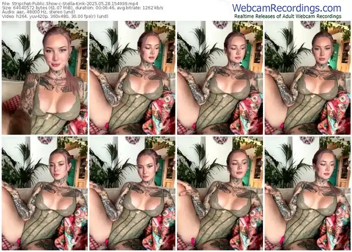 stripchat-stella-kink-05-28-2025-15-49-39