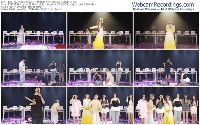 stripchat-xmh100-05-28-2025-14-16-41