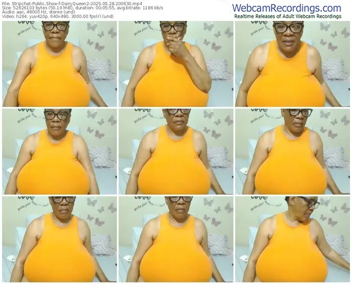 stripchat-dairyqueen2-05-28-2025-20-06-30