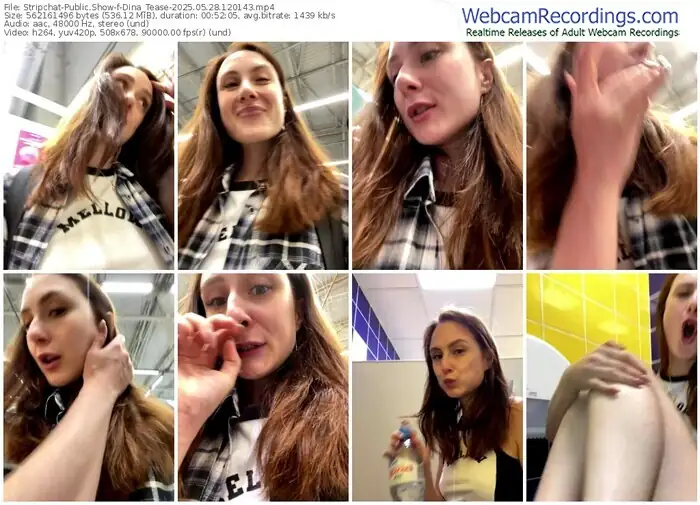 stripchat-dina_tease-05-28-2025-12-01-43