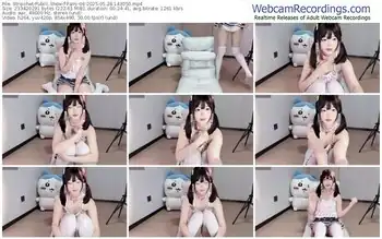 stripchat-fairy-06-05-28-2025-14-30-50