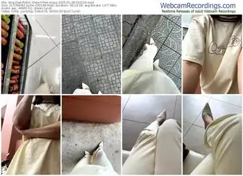 stripchat-meii-meyy-05-28-2025-03-21-19