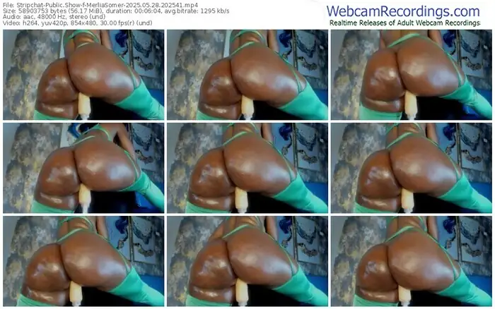 stripchat-merliasomer-05-28-2025-20-25-41
