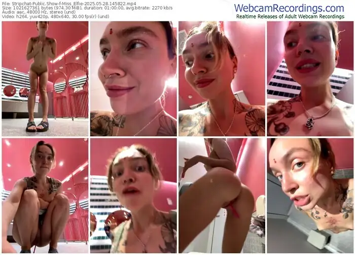 stripchat-miss_elfie-05-28-2025-14-58-22