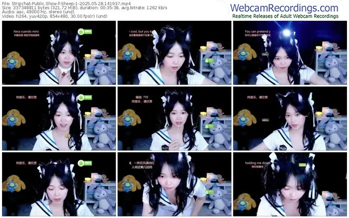 stripchat-sheep-1-05-28-2025-14-19-37