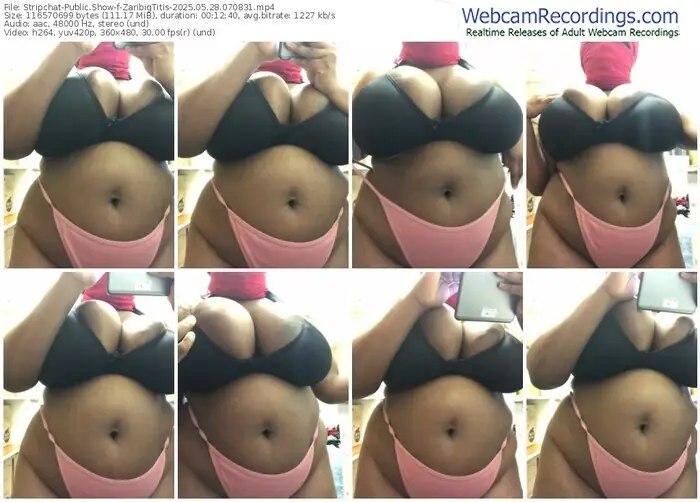 stripchat-zaribigtitis-05-28-2025-07-08-31