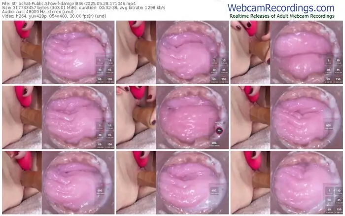 stripchat-danigirl866-05-28-2025-17-10-46