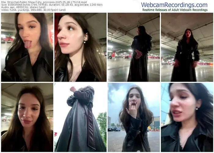 stripchat-shy_priincess-05-28-2025-17-51-18