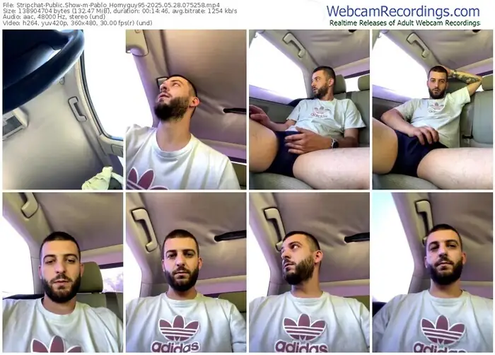 stripchat-pablo_hornyguy95-05-28-2025-07-52-58