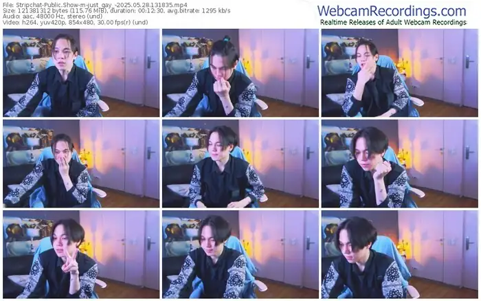 stripchat-just_gay_-05-28-2025-13-18-35