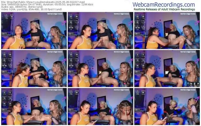 stripchat-youdremalovets-05-28-2025-00-24-17