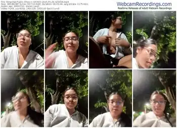 stripchat--vickky-05-29-2025-02-59-34