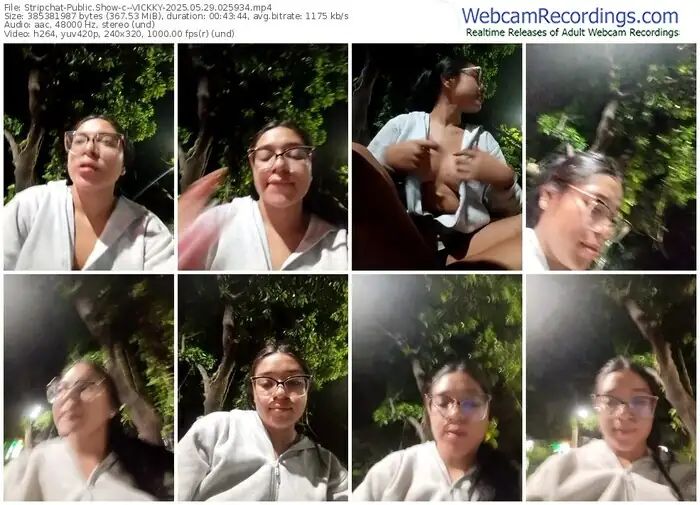 stripchat--vickky-05-29-2025-02-59-34